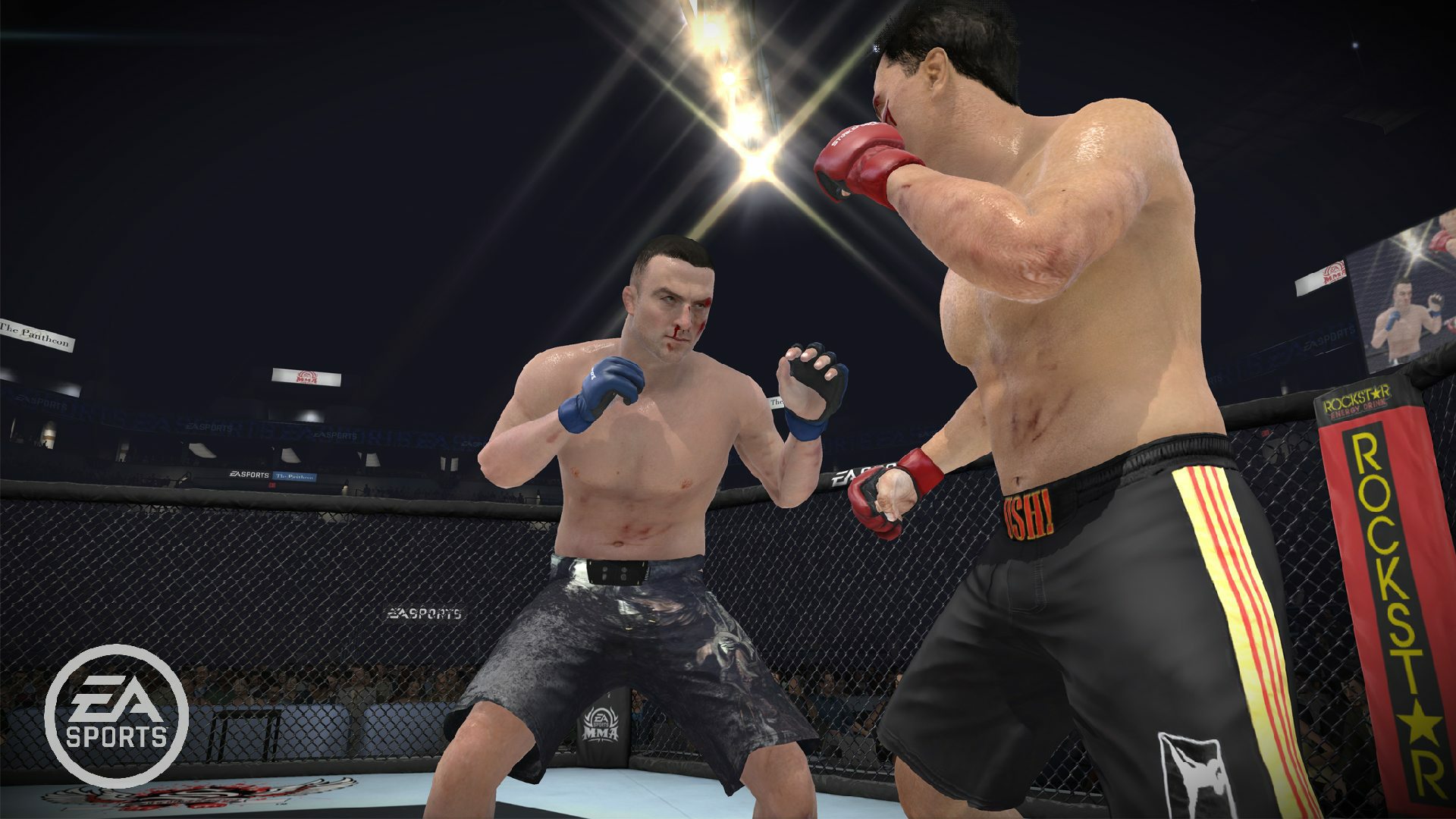 EA Sports MMA - Imagen 13